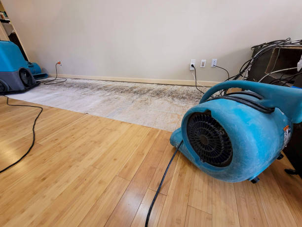 Professional Emergency Water Damage technician working in Logan, WV